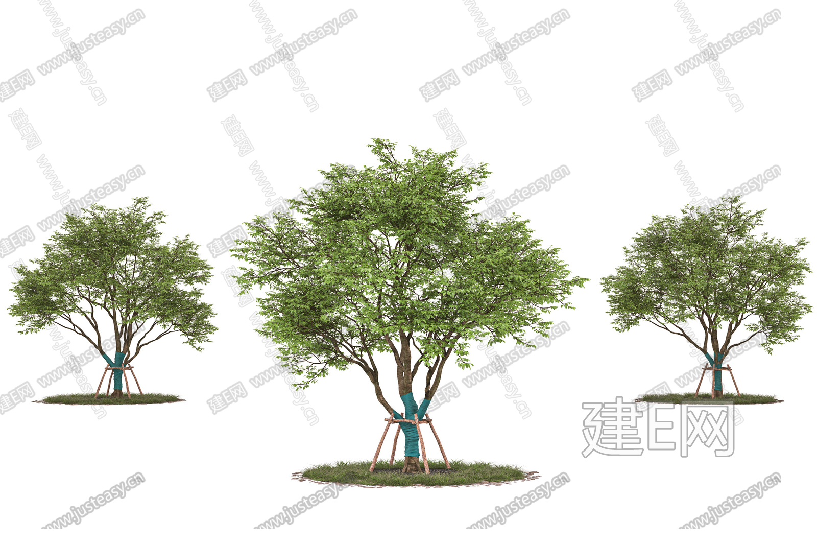 png免抠树木乔木带防风棉树景观树行道树庭院树配景树园林树3d贴图下载[ID:109205560]_建e贴图