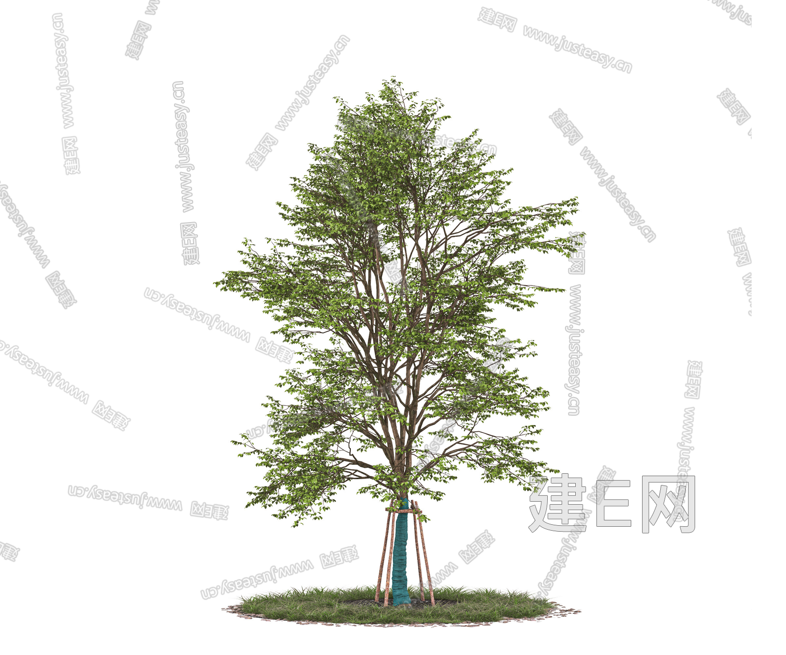 png免抠行道树庭院树景观树带防风棉树配景树园林树大树木乔木3d贴图下载[ID:109205624]_建e贴图