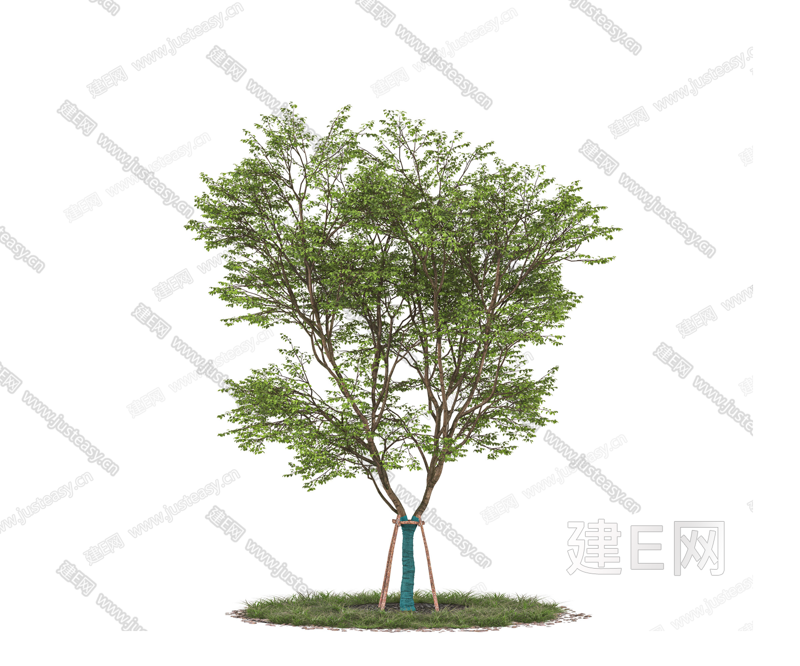png免抠大树木乔木行道树庭院树景观树带防风棉树配景树园林树3d贴图下载[ID:109205608]_建e贴图