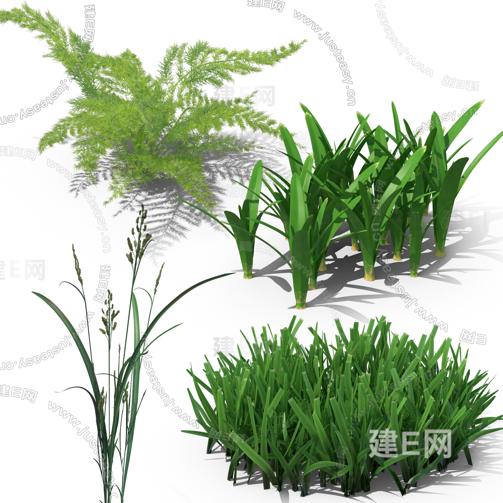 PNG免扣植物小草蕨类植物草从3d贴图下载[ID:112679137]_建e贴图