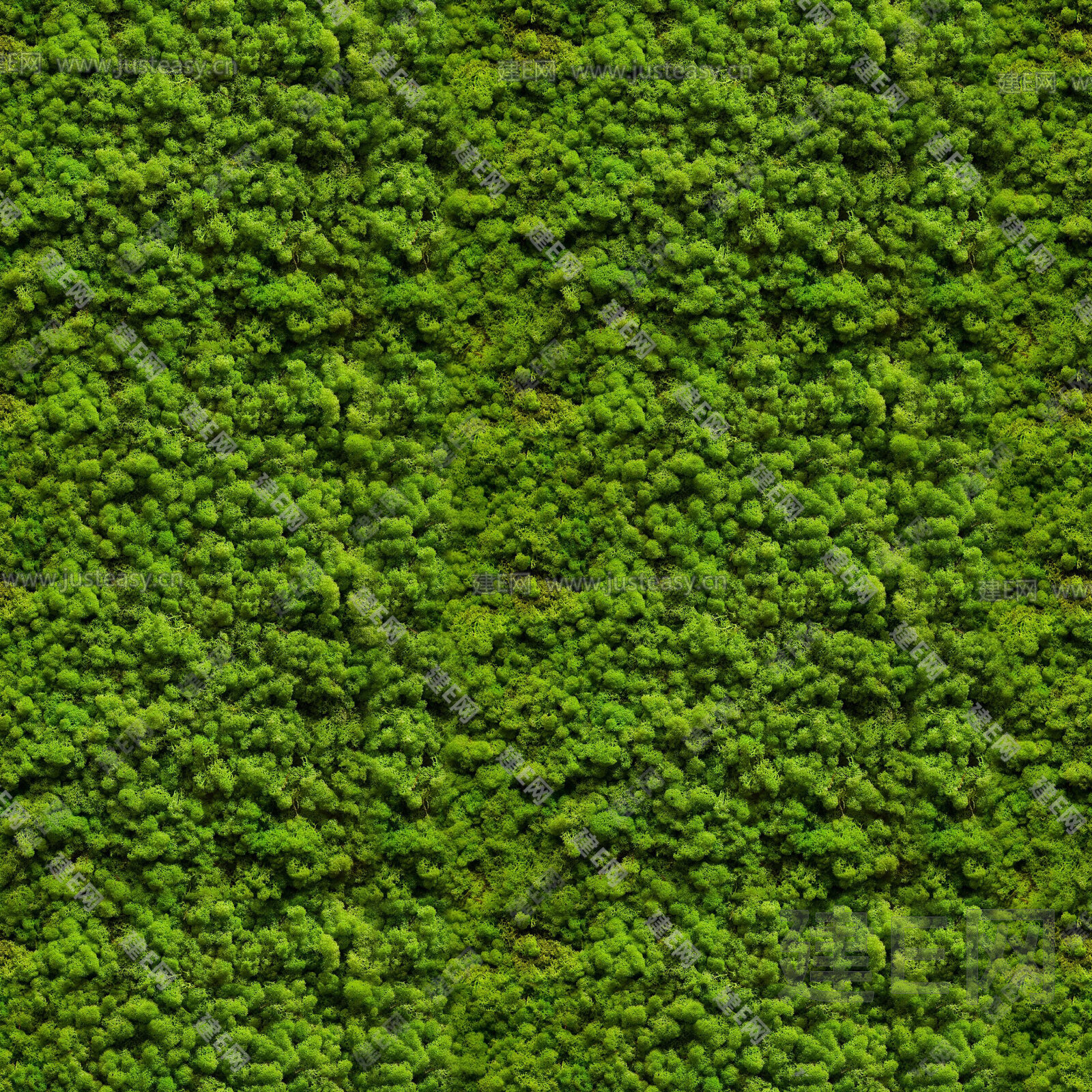 无缝苔藓绿植墙面3d贴图下载[ID:107305512]_建e贴图