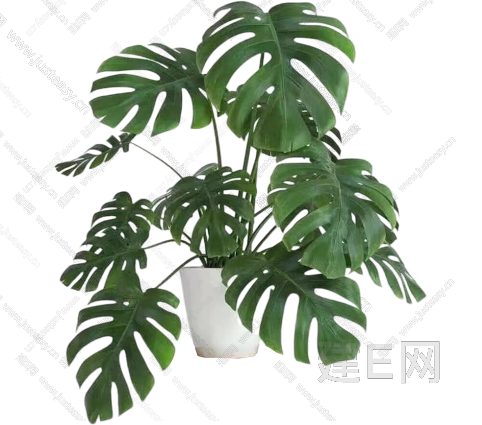 PNG免抠盆栽植物龟背竹3d贴图下载[ID:114252304]_建E室内设计网
