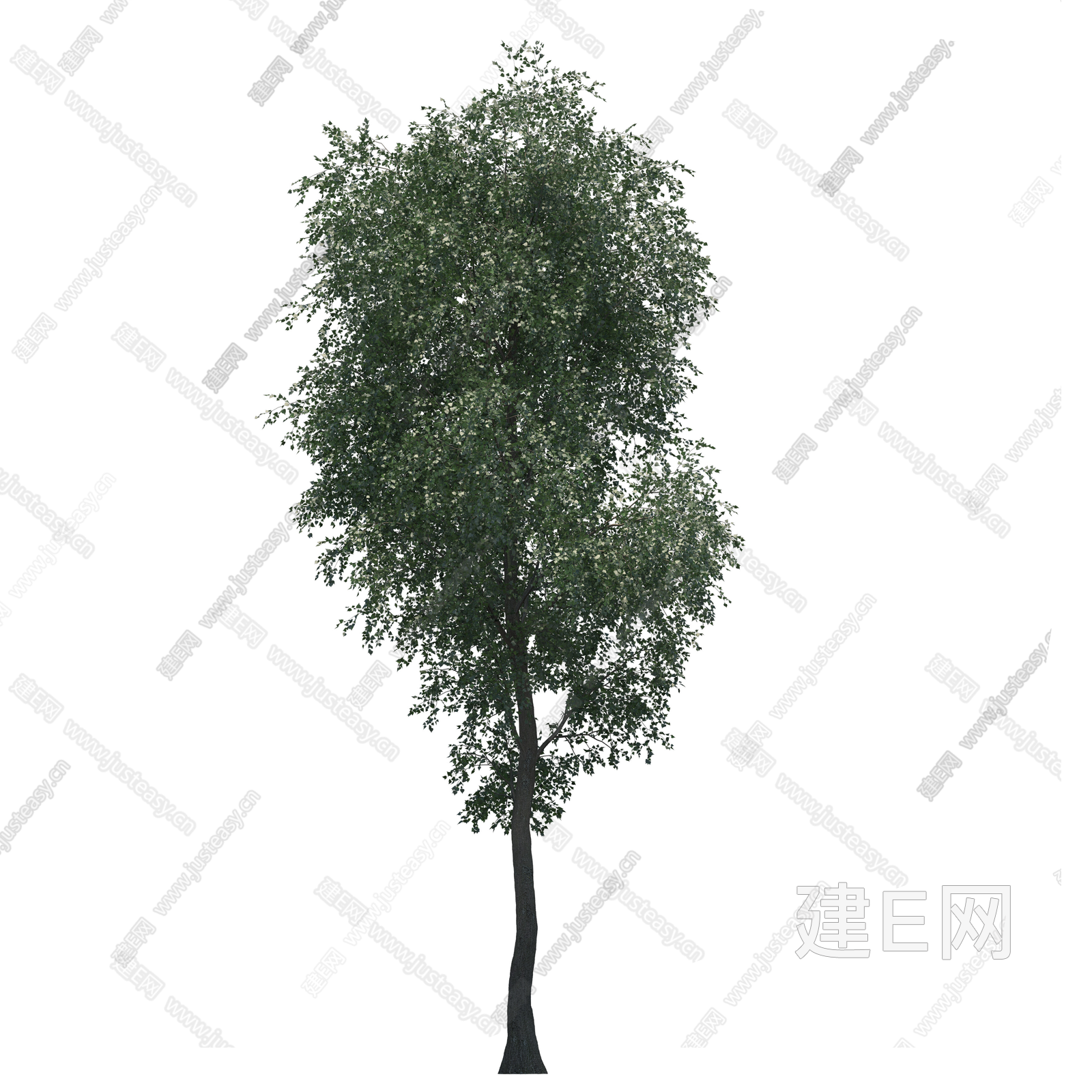 高清中景树 庭院树 通透树 乔木 景观树 行道树 植物png免抠素材3d贴图下载[ID:104947164]_建e贴图