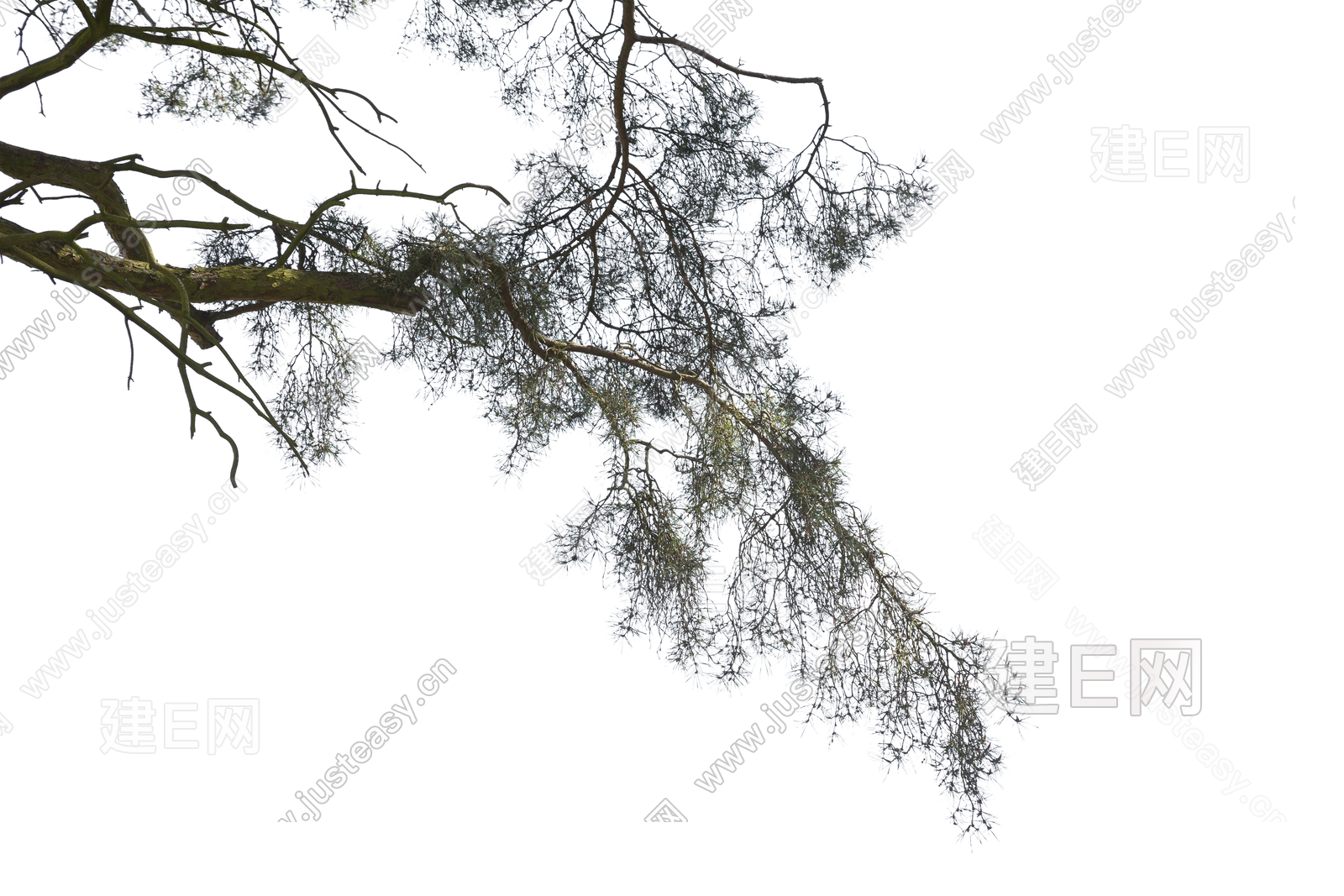 psd免抠枯树枝边角树挂角树效果图前景树素材3d贴图下载[ID:107109877]_建E室内设计网