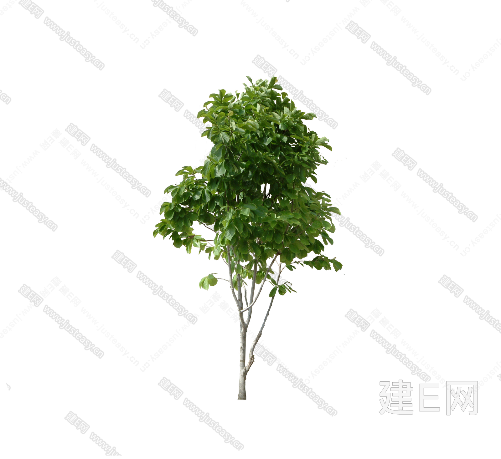 PSD免抠乔木树木景观树庭院树植物灌木配景3d贴图下载[ID:108682530]_建e贴图
