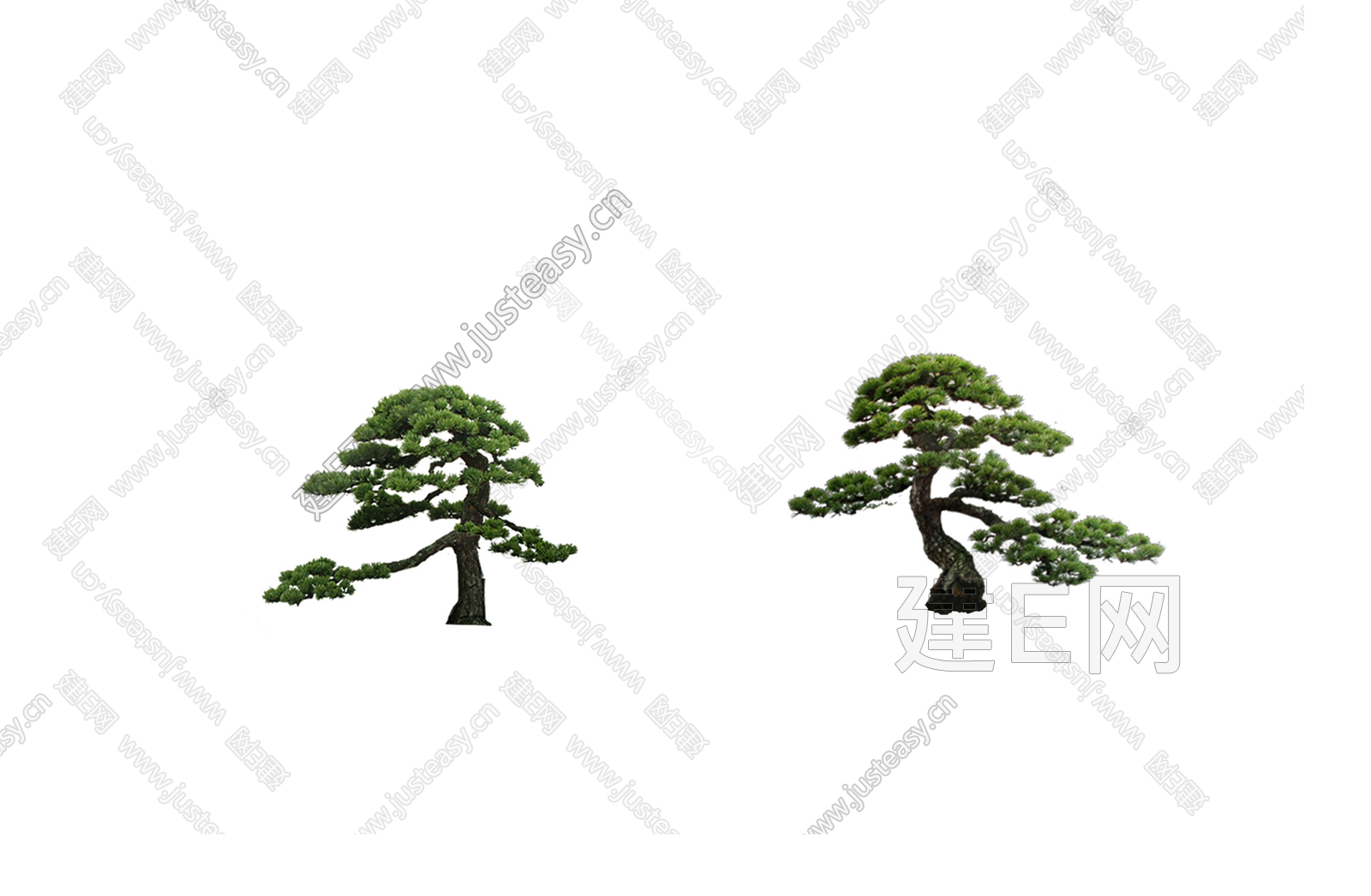 PSD免抠松树中式造型松小叶榕罗汉松造景树乔木植物3d贴图下载[ID:102522217]_建E室内设计网