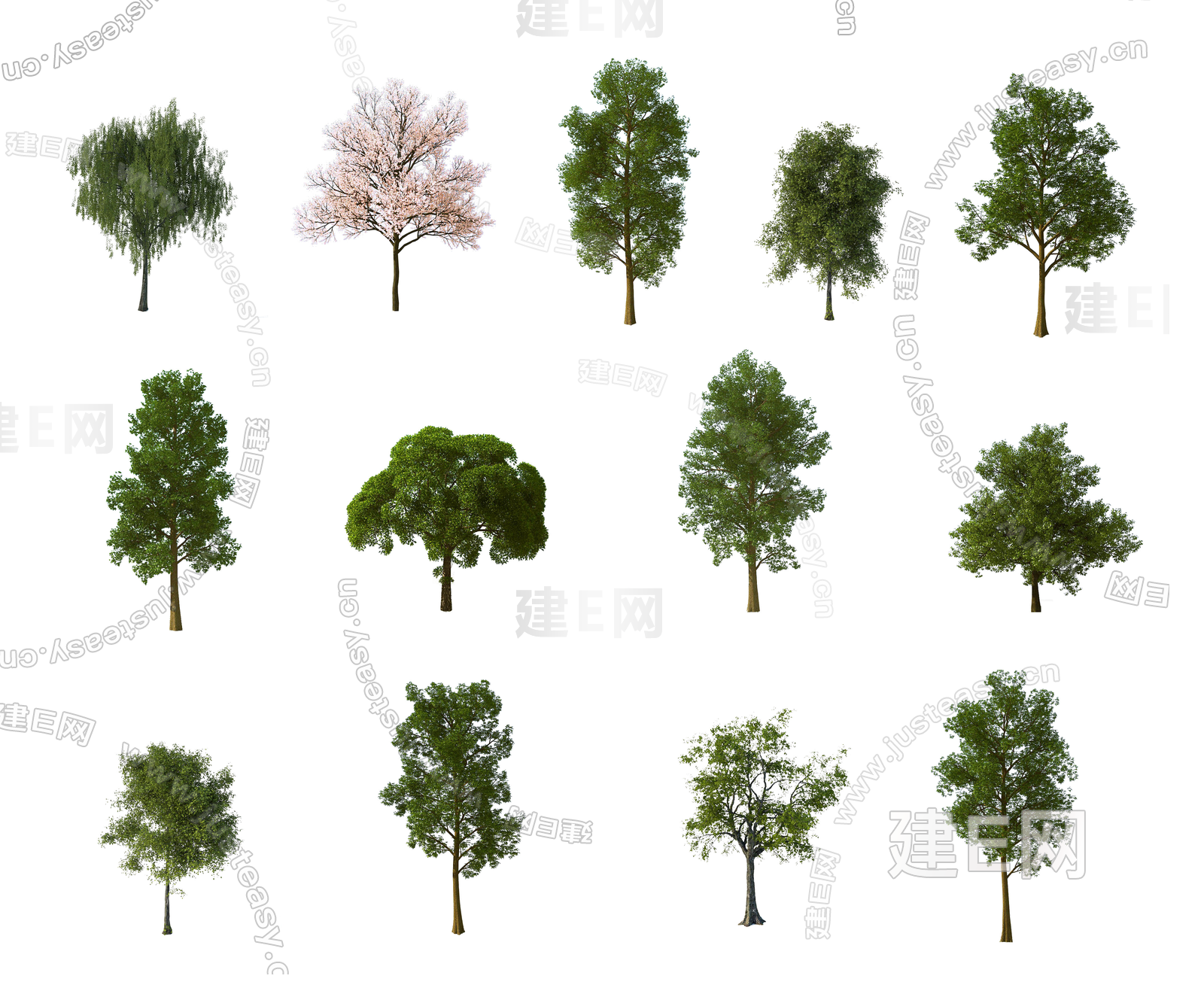 PSD免抠景观植物乔木景观树行道树庭院树大树前景树樱花造型树3d贴图下载[ID:102522252]_建E室内设计网