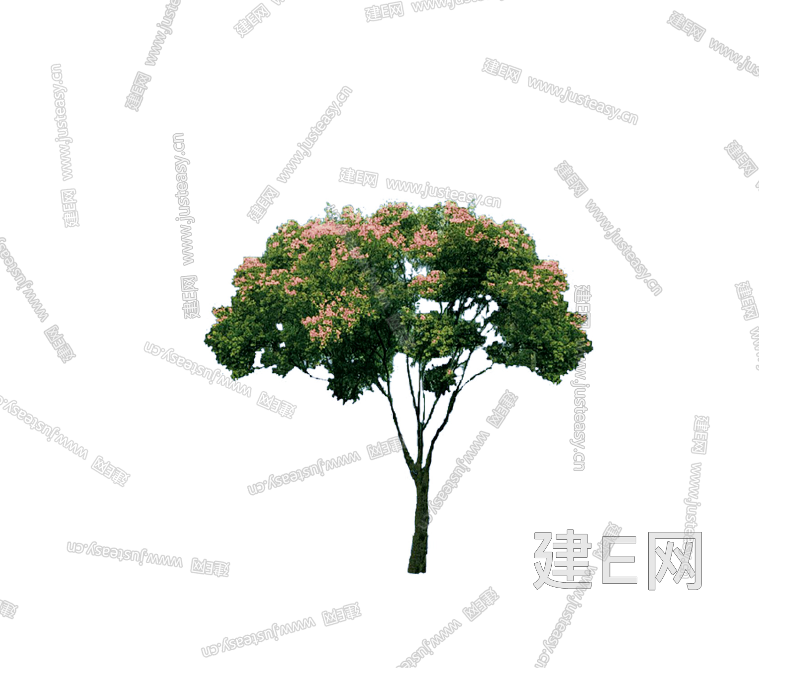png免抠植物蓝花楹乔木景观树庭院树行道树前景树造型树常绿树 树木3d贴图下载[ID:102456672]_建E室内设计网