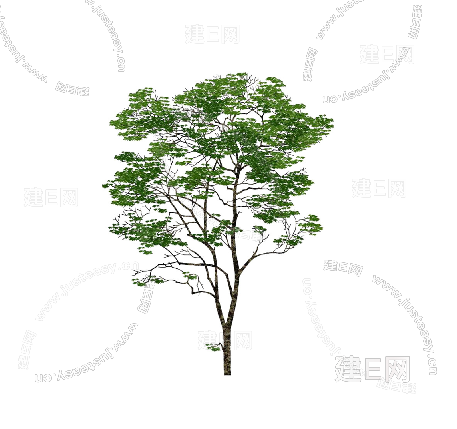 png免抠景观常用乔木免抠 背景树 中景树 庭院树 通透树 景观树植物3d贴图下载[ID:102391162]_建e贴图