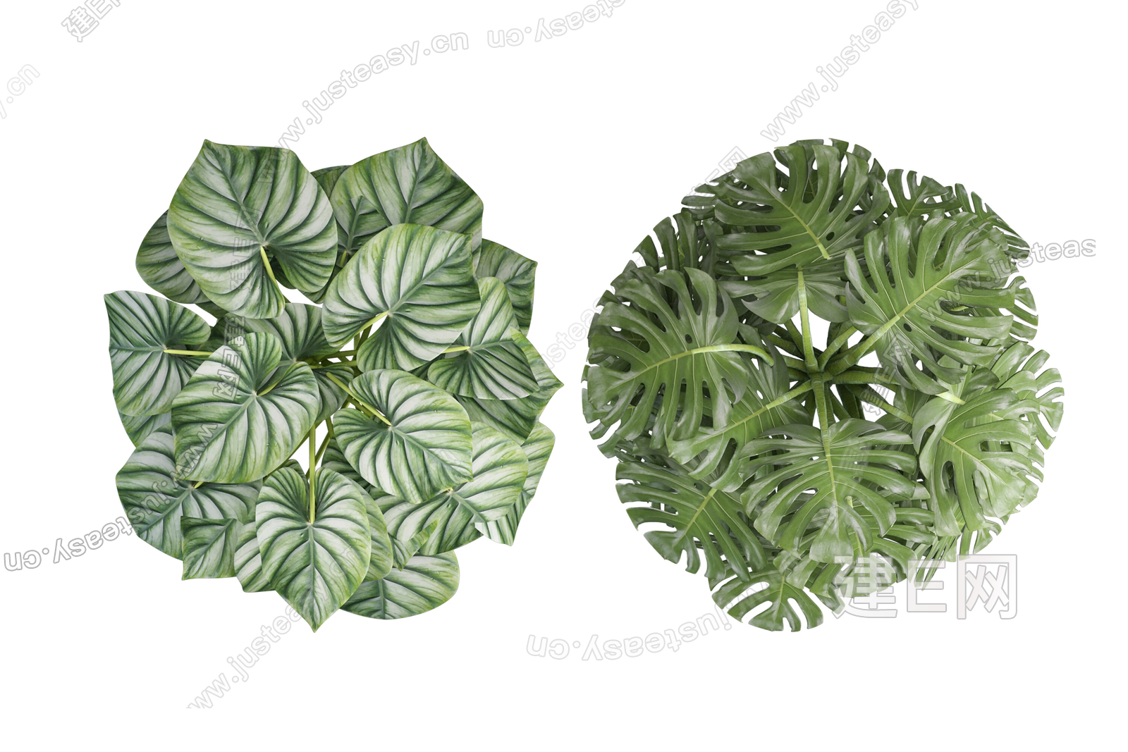 psd免抠彩平庭院真实平面树3d贴图下载[ID:109666216]_建e贴图