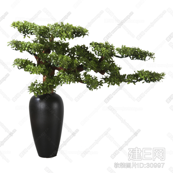 新中式松树植物盆栽